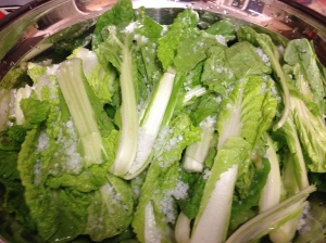 Korean Spring cabbage called 'Erl-ga-ri' - marinating them in sea salt 